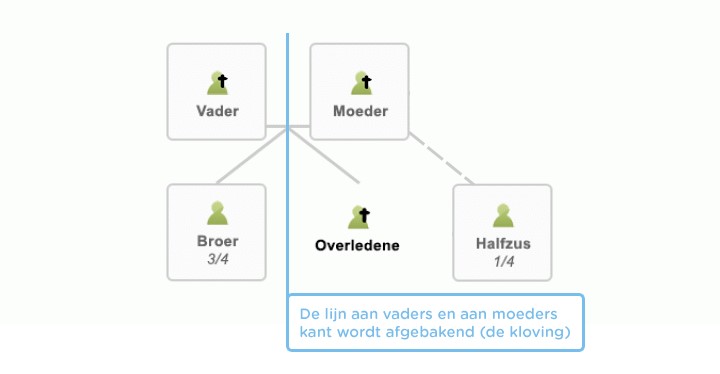 Voorbeeld kloving afgebakend: je hebt een broer en langs moederskant een halfzus