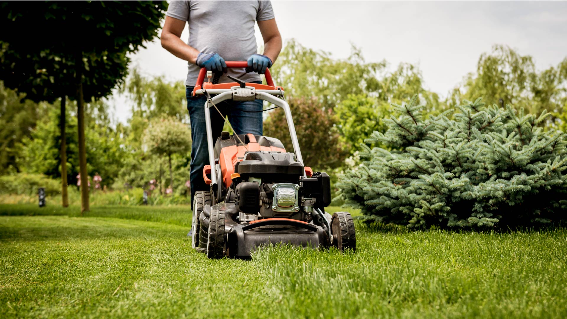 Een zelfstandige tuinman maait het gras