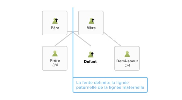 Exemple la fente délimité : imaginons que vous ayez un frère et une demi-sœur du côté de votre mère