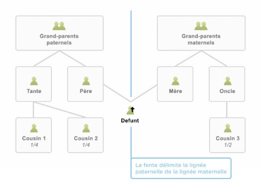 Exemple la fente : vos seuls héritiers sont deux cousins du côté paternel et un cousin du côté maternel