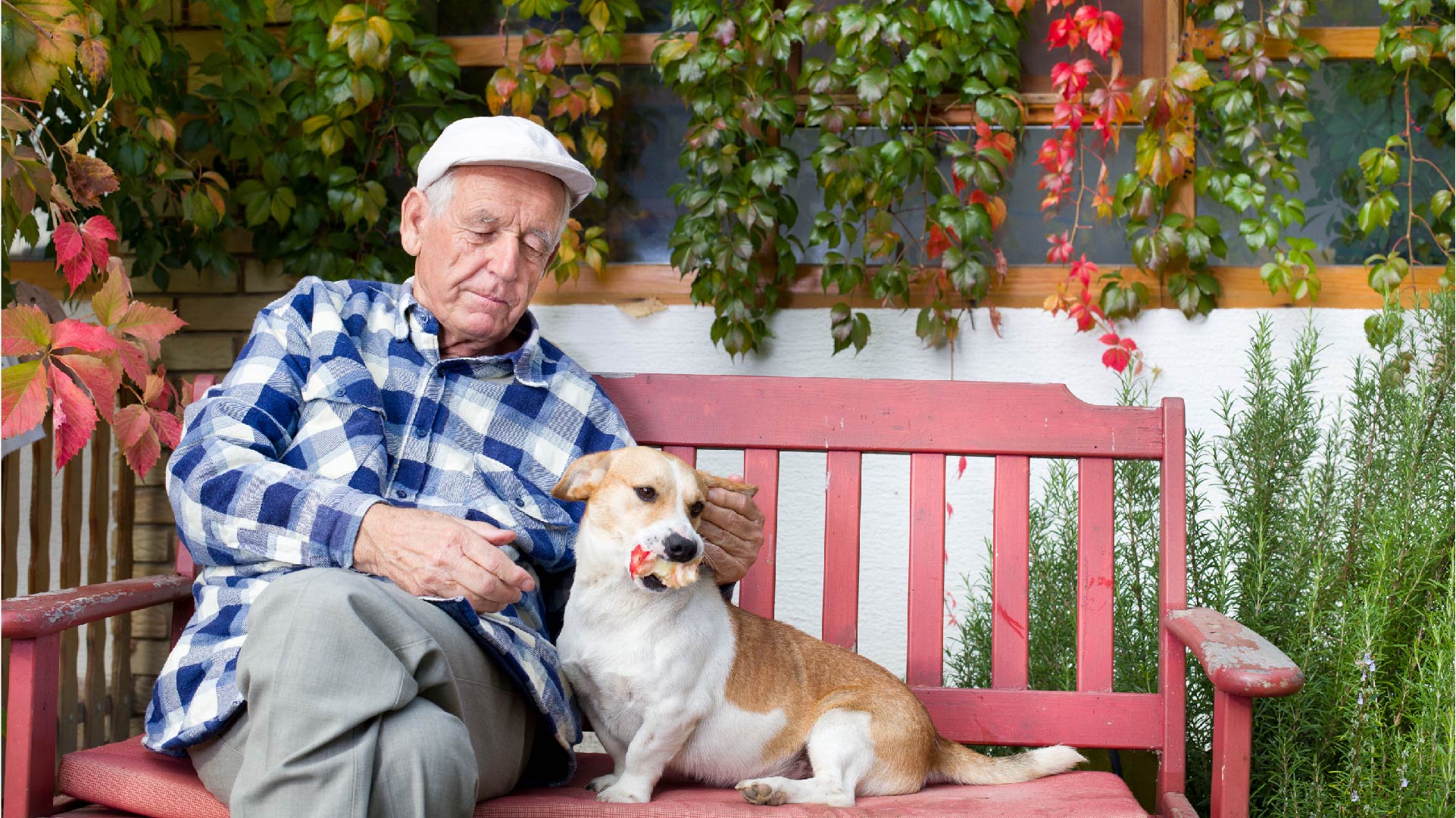 Een oude man zit op een bank met zijn hond