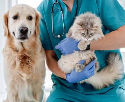 Een dierenarts houdt een kat en een hond in zijn armen